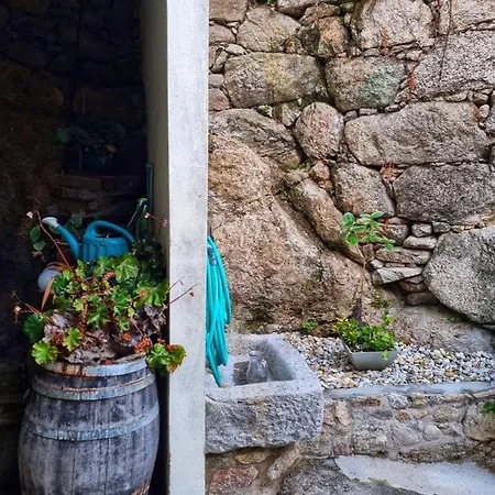 Orman Evi Casa Carlota *