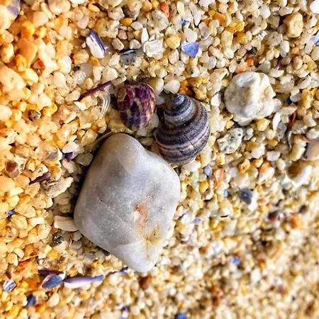 Casa Carlota Lodge *