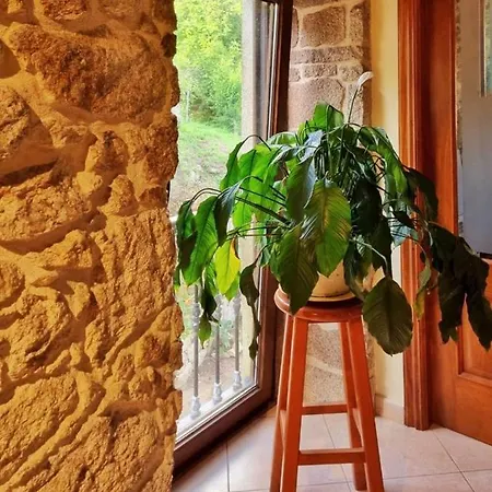 Casa Carlota ロッジ