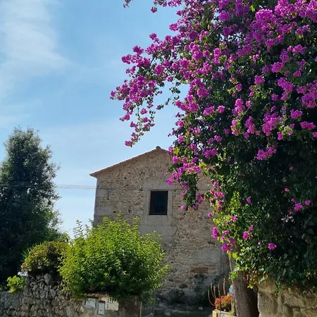 Casa Carlota ロッジ