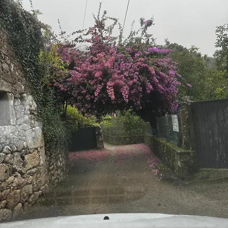 Casa Carlota Lodge Villadesuso